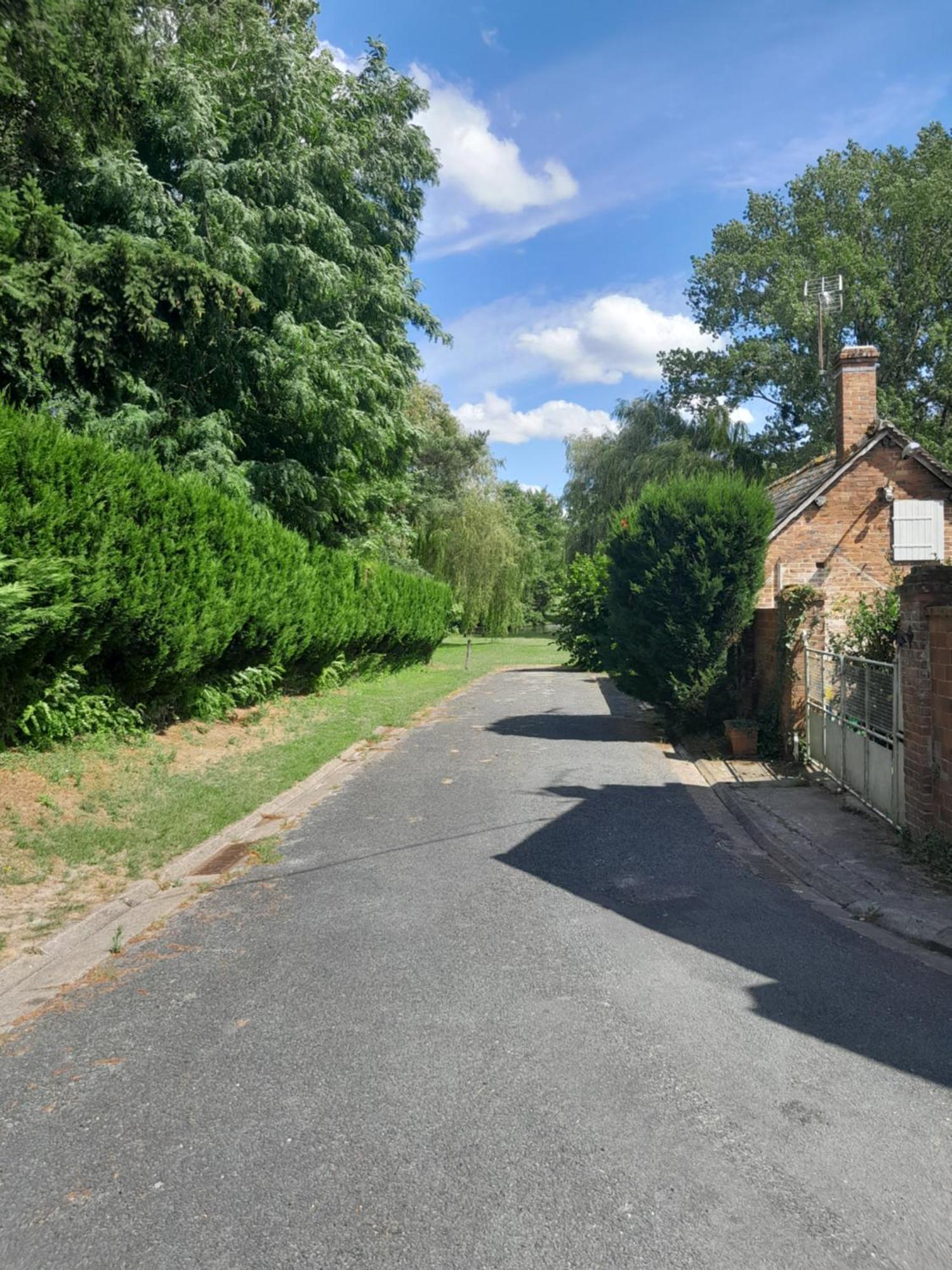 Chez Santia Villa Brinon-sur-Sauldre Eksteriør billede